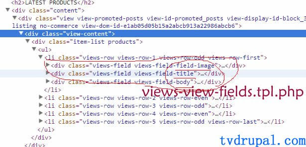 drupal views field