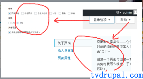 wordpress文章或页面(page)帮助和显示选项
